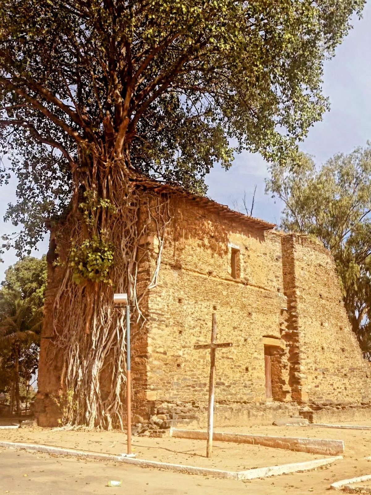 Igreja do Senhor Bom Jesus de Matozinhos: as ruínas de pedra abraçadas por uma gameleira.